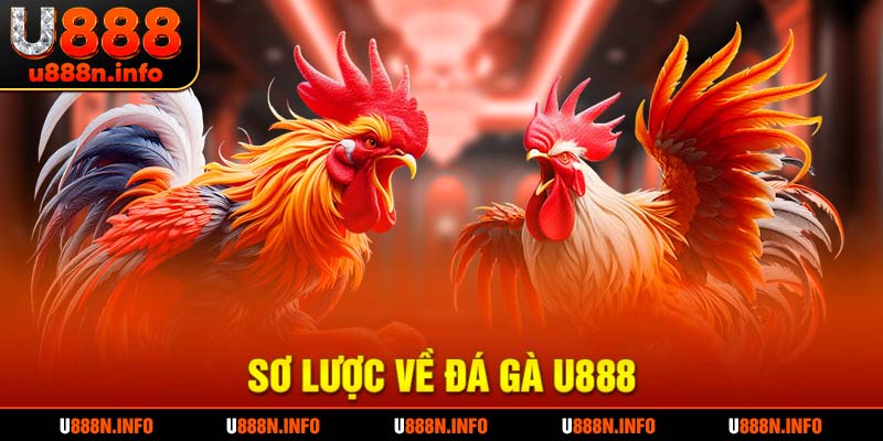 Tổng quan về đá gà U888