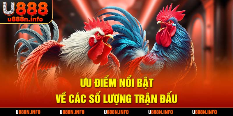 Đa dạng về trận đấu cũng như kèo cược